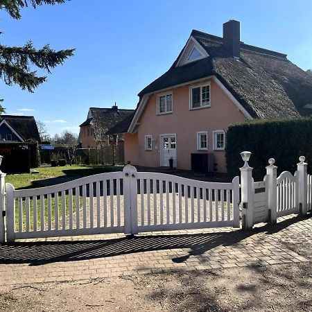 Ferienwohnung Lasse in Wieck Exterior foto